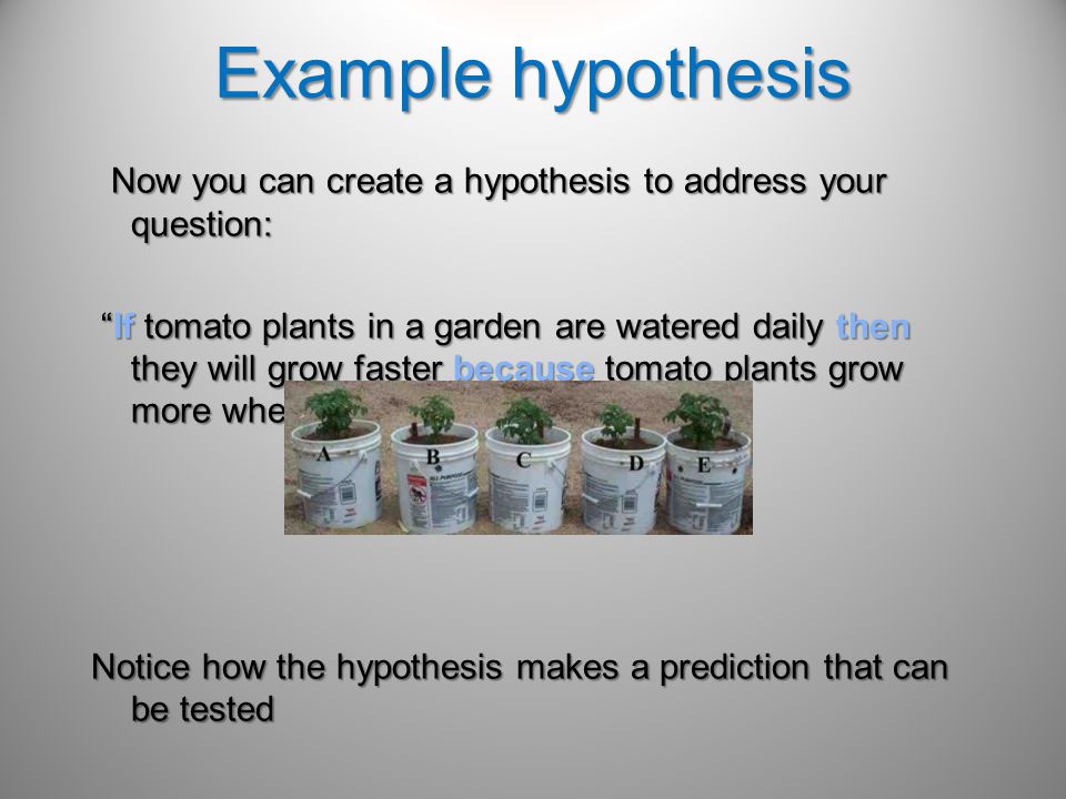 Statistical investigation questions